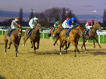 Evening Racing