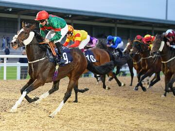 Saturday Evening Racing at Southwell Races