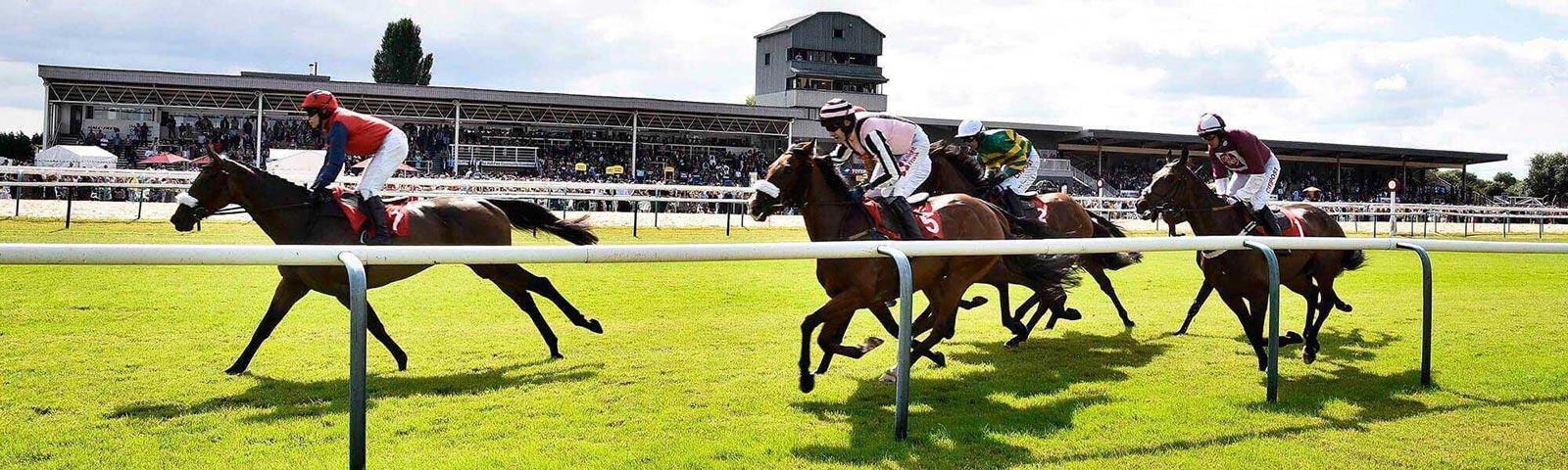 Horses racing towards the finish at Southwell Races