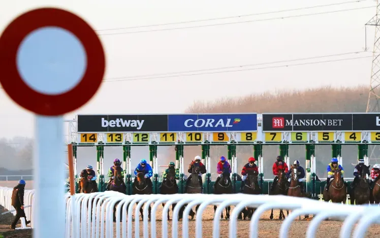 Horses in the starting stalls at Southwell with the finishing post in the forefront.