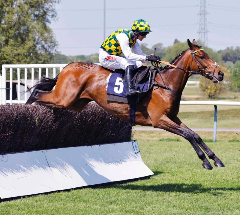 A horse skillfully takes on a jump at Southwell Racecourse