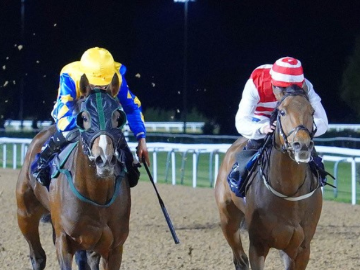 Southwell Racecourse Evening Flat Racing