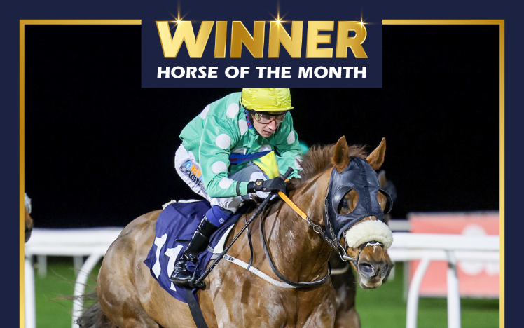 Winner of the month