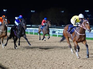 Wednesday Evening Flat Racing at Southwell Races
